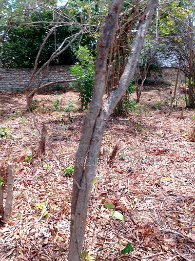 3/4 Acre Plot Near Simba Oryx - Diani | Kshs.10m Per 1/4 - Image 5
