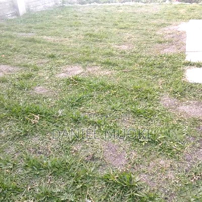 3bdrm Maisonette in Accacia, Kitengela for sale - Image 6