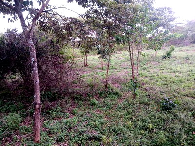 Prime Redsoil Quarter Acre in Karen View Estate, Matasia - Image 3