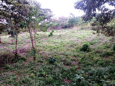 Prime Redsoil Quarter Acre in Karen View Estate, Matasia - Image 2