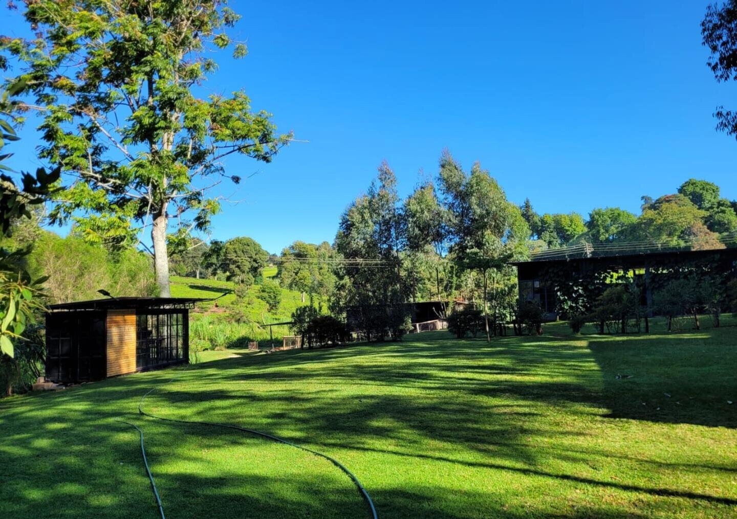1.3-Acre Pet Friendly Land in Tigoni