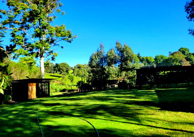 1.3-Acre Pet Friendly Land in Tigoni