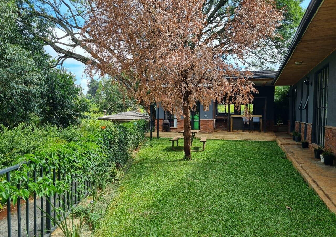1.3-Acre Pet Friendly Land in Tigoni