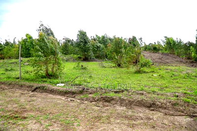 Kabati 50x100 Plots - Image 6