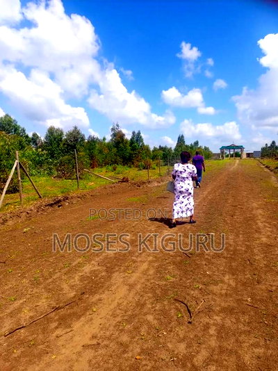 Kabati 50x100 Plots - Image 4