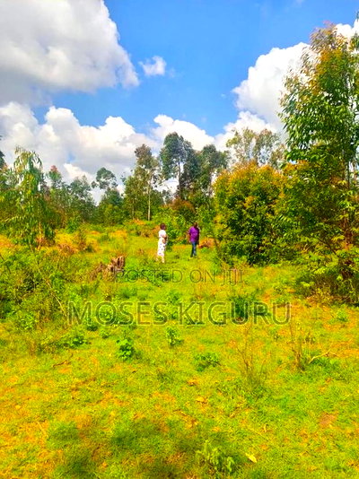 Kabati 50x100 Plots - Image 2