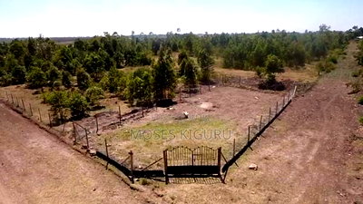 Kabati 50x100 Plots - Image 8