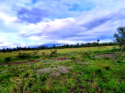 Plot Sale Nanyuki Sweet Water - Image 2