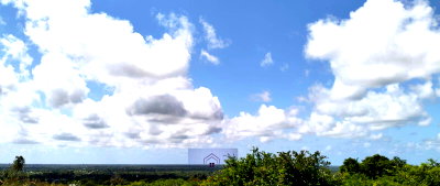 13.5-Acre Land in Kakuyuni, Malindi