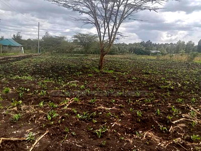 Prime Eighth Acre Plots in Merisho, Matasia - Image 3