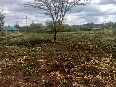 Prime Eighth Acre Plots in Merisho, Matasia - Image 4