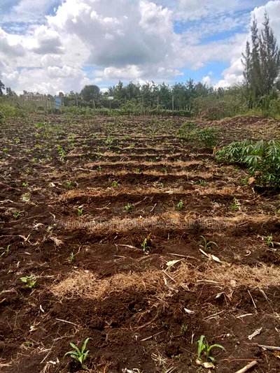 Prime Eighth Acre Plots in Merisho, Matasia - Image 1