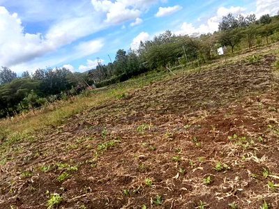 Prime Eighth Acre Plots in Merisho, Matasia - Image 2