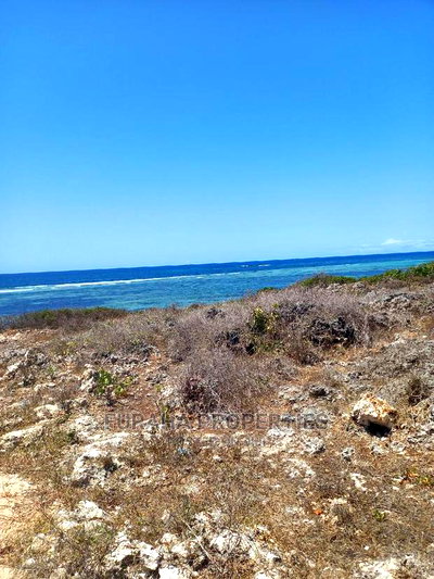 For Sale 20 Acres Beach Land Kilifi Chumani - Image 1