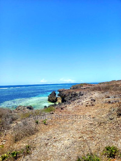 For Sale 20 Acres Beach Land Kilifi Chumani - Image 7