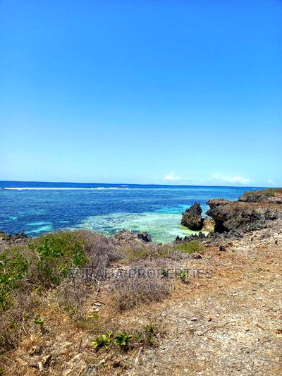 For Sale 20 Acres Beach Land Kilifi Chumani - Image 8