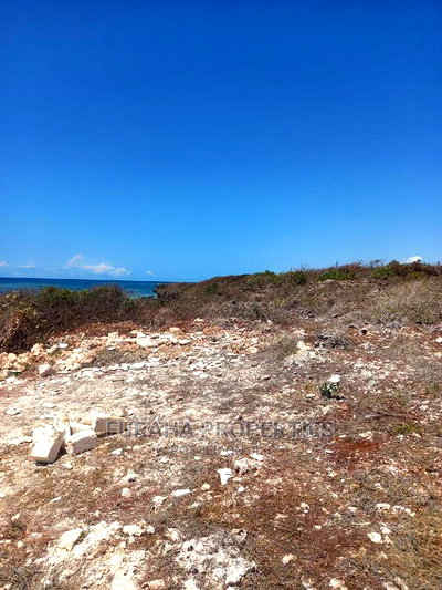 For Sale 20 Acres Beach Land Kilifi Chumani - Image 2