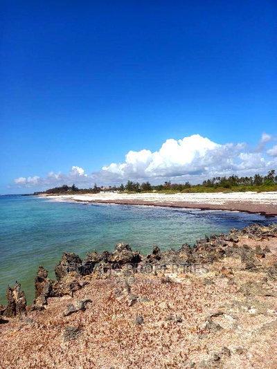 For Sale 20 Acres Beach Land Kilifi Chumani - Image 4