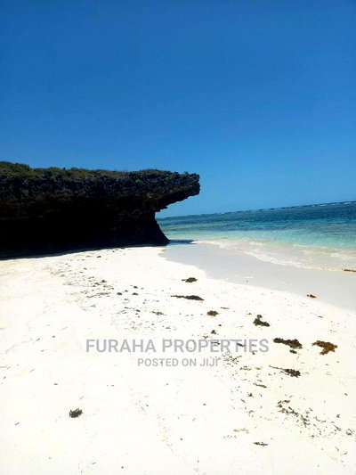 For Sale 20 Acres Beach Land Kilifi Chumani - Image 5