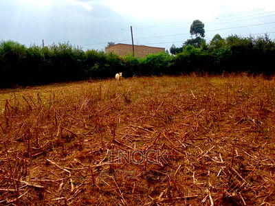 Prime Plot I'm Kapsoya Border Farm - Image 3