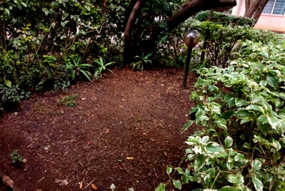 3/4 Acre Kilimani Gem with Garden