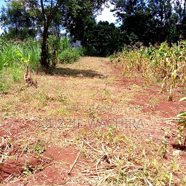 40x80ft Plots at Kenol Town for Sale