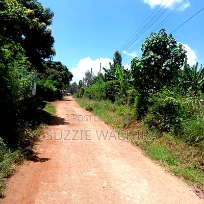 40x80ft Plots at Kenol Town for Sale - Image 3