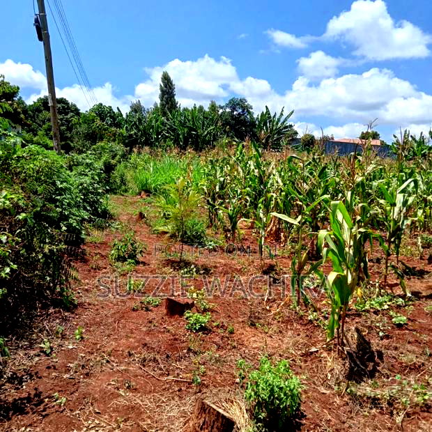 40x80ft Plots at Kenol Town for Sale