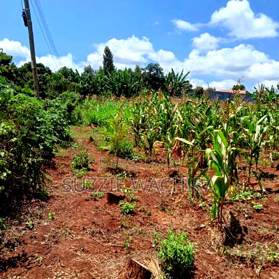 40x80ft Plots at Kenol Town for Sale - Image 1