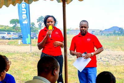 Bank And Sacco Financing Accepted - Image 2