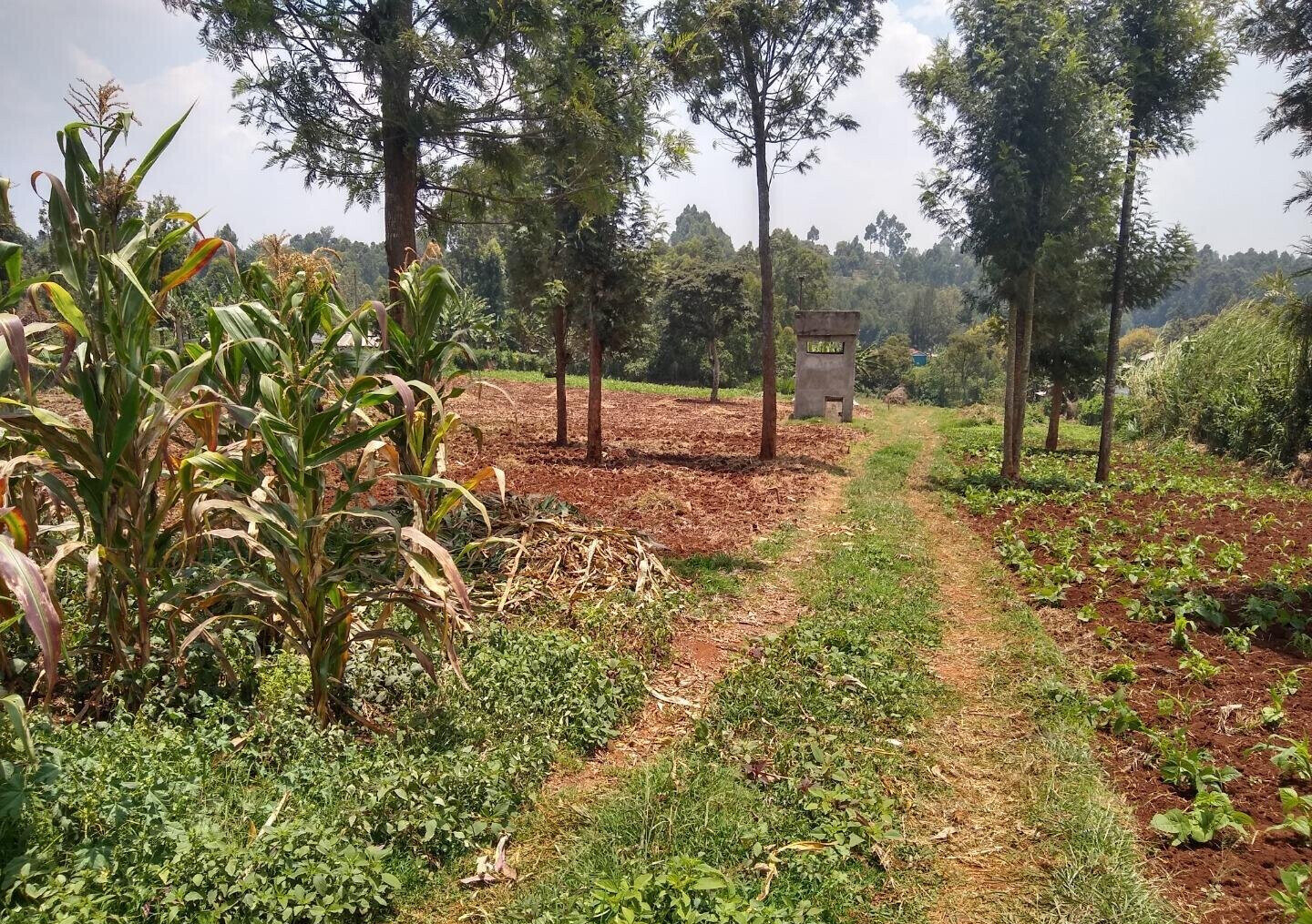 1/2 Acre Ndenderu Plot for KSh 25M