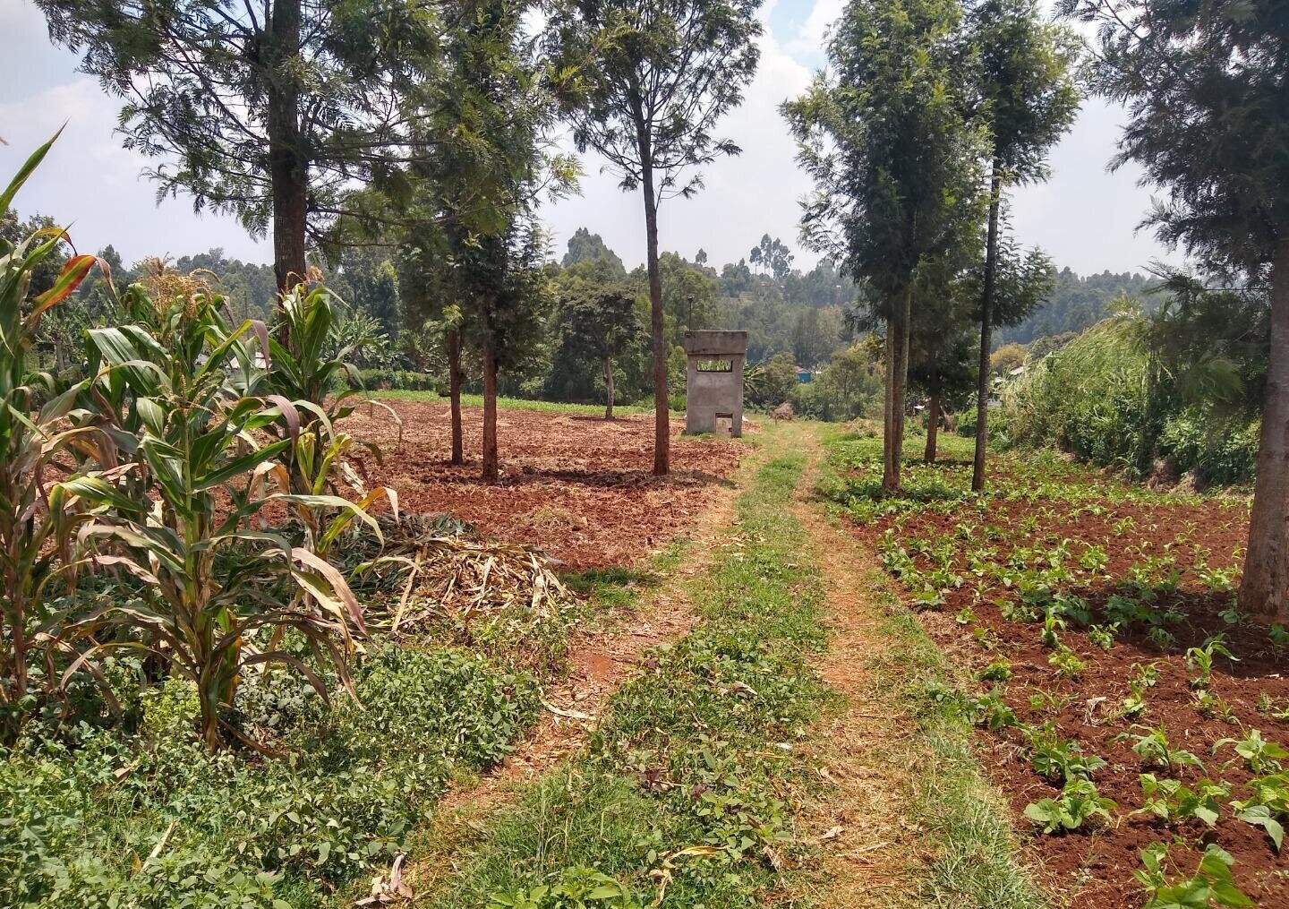 1/2 Acre Ndenderu Plot for KSh 25M