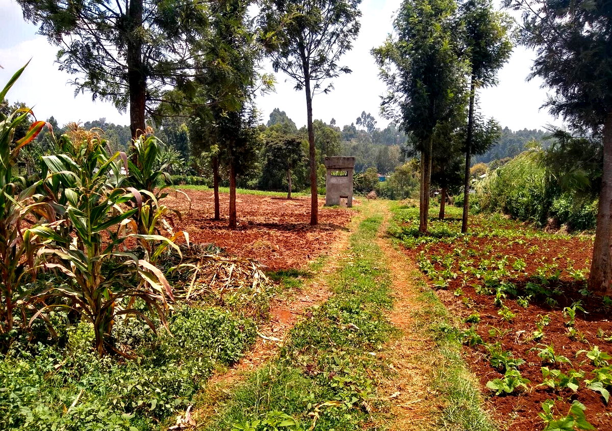 1/2 Acre Ndenderu Plot for KSh 25M