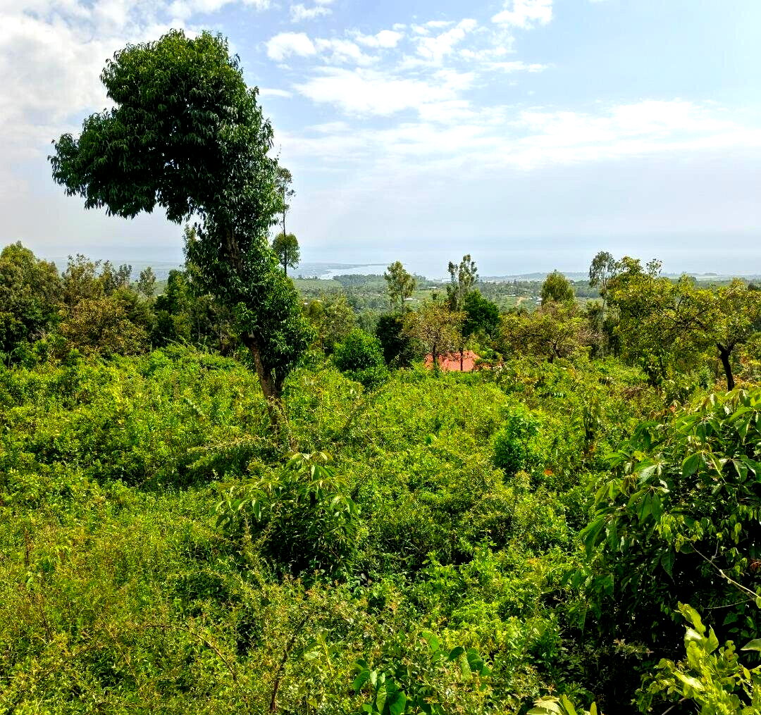 KSh 2.4M Quarter Acre Plot