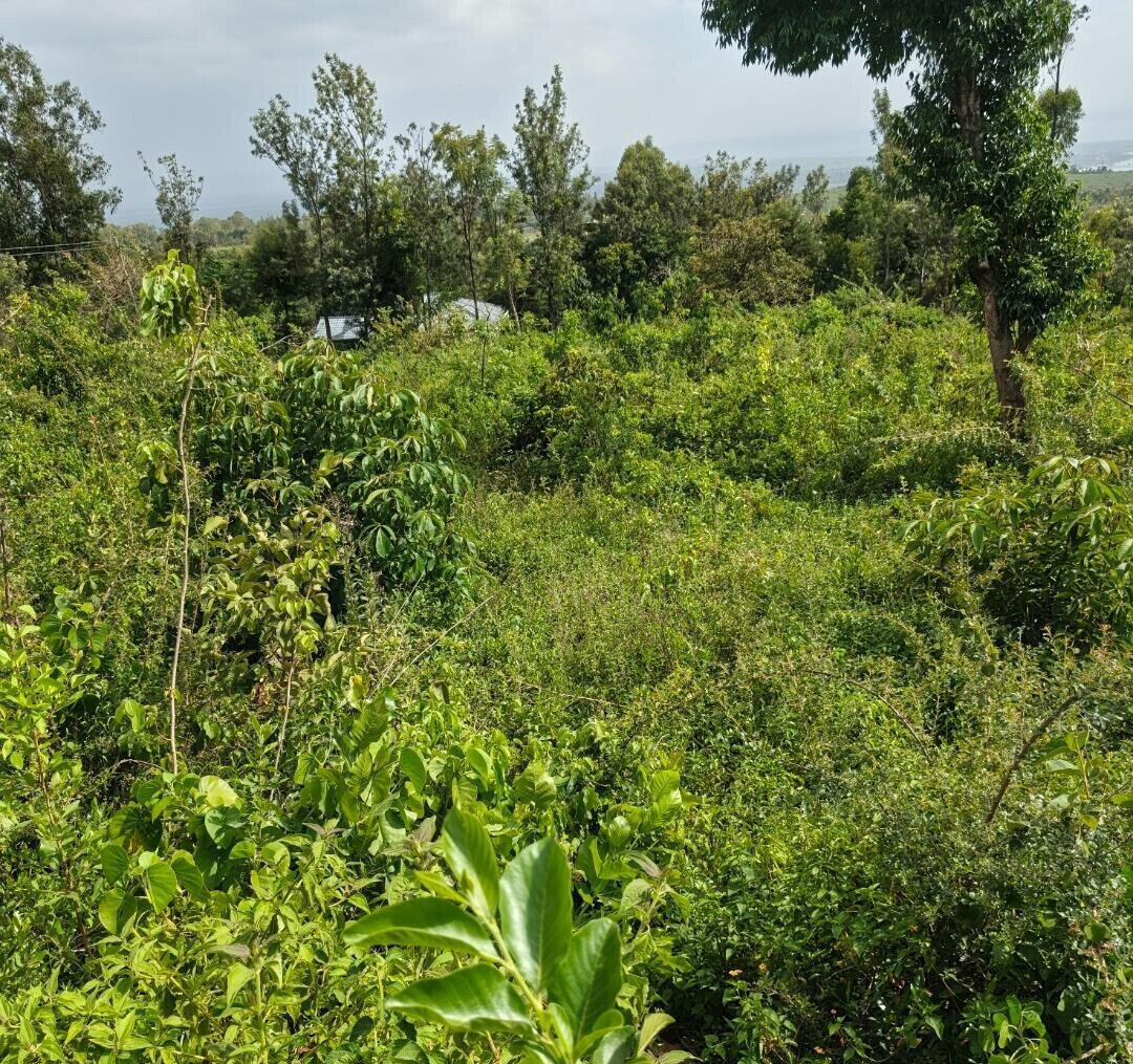 KSh 2.4M Quarter Acre Plot