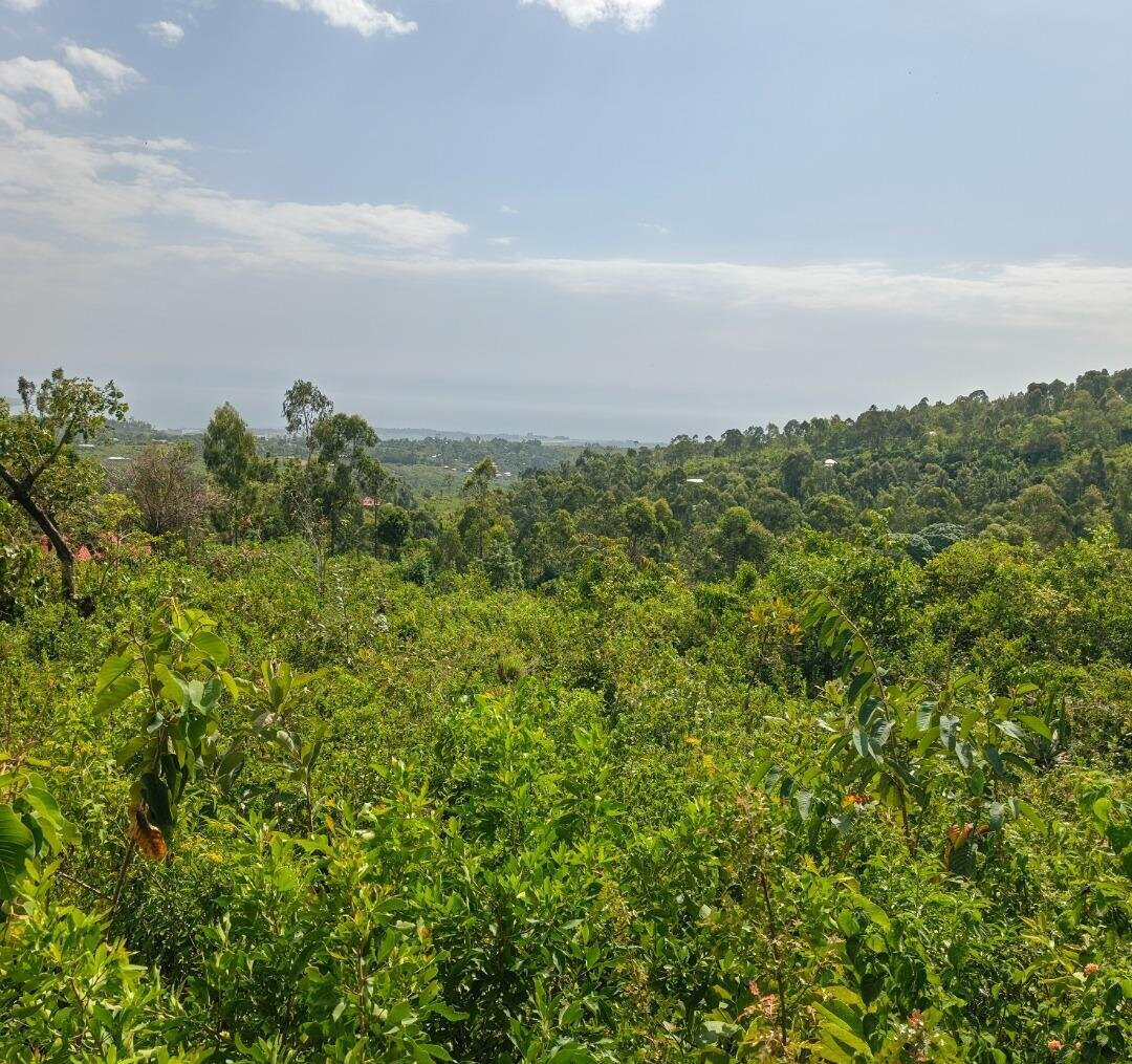 KSh 2.4M Quarter Acre Plot