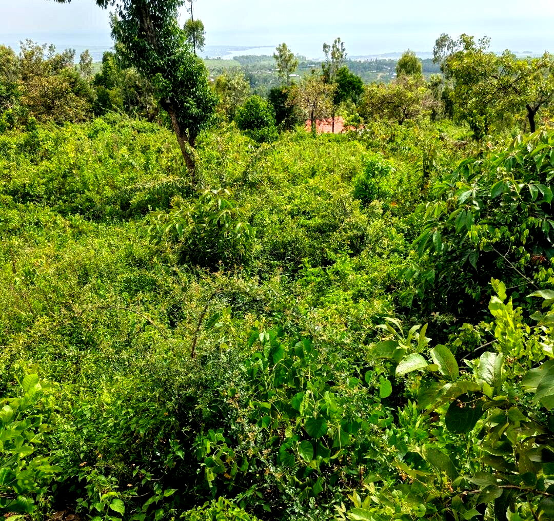 KSh 2.4M Quarter Acre Plot