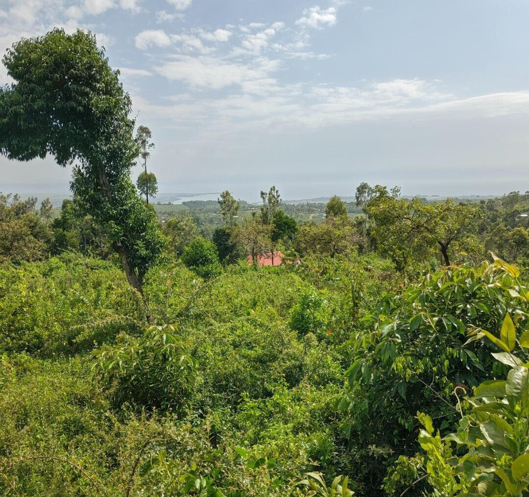KSh 2.4M Quarter Acre Plot