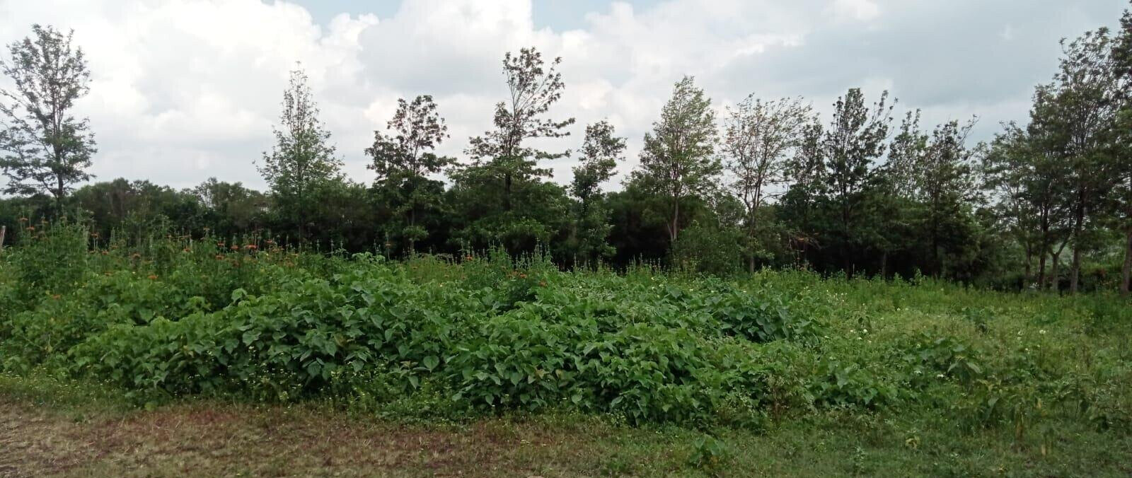1 Acre Plot in Ngong CBD at KSh 8.5M