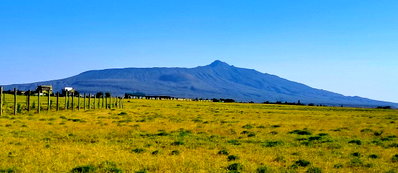 1 Acre Garden Plot in Naivasha