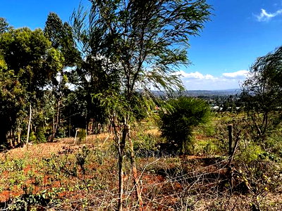 Prime 50 by 100ft Residential Plot for Sale in Kikuyukamangu - Image 7