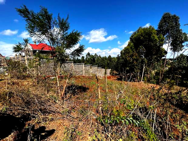 Prime 50 by 100ft Residential Plot for Sale in Kikuyukamangu