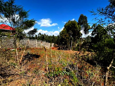 Prime 50 by 100ft Residential Plot for Sale in Kikuyukamangu - Image 16