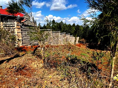 Prime 50 by 100ft Residential Plot for Sale in Kikuyukamangu - Image 12
