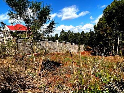 Prime 50 by 100ft Residential Plot for Sale in Kikuyukamangu - Image 9
