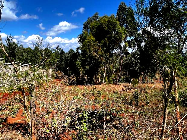 Prime 50 by 100ft Residential Plot for Sale in Kikuyukamangu