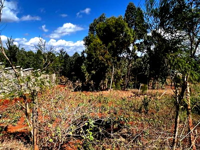 Prime 50 by 100ft Residential Plot for Sale in Kikuyukamangu - Image 4