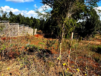 Prime 50 by 100ft Residential Plot for Sale in Kikuyukamangu - Image 17