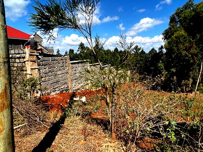 Prime 50 by 100ft Residential Plot for Sale in Kikuyukamangu - Image 8