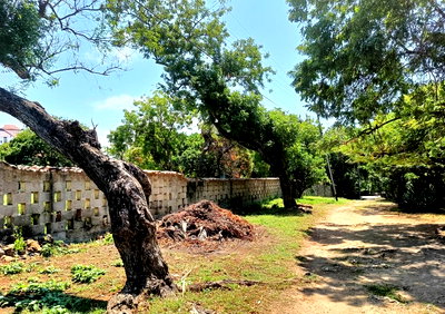 2-Acre Oceanview Plot for KSh 100M